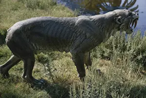 Replica: Sabertooth Cat