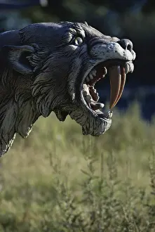 Replica: Sabertooth Cat
