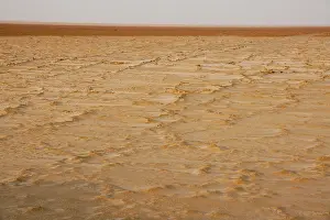 Sabkha: Sabkha / Salt Plain