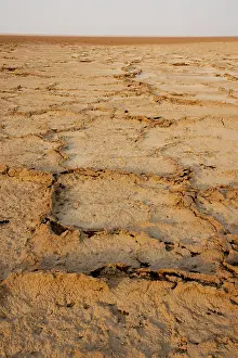 Sabkha: Sabkha / Salt Plain