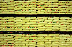 Sacks: Sacks of rice stacked on shelves, ready for export