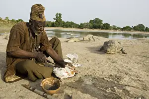 Tools: Sacrifice chicken for Nile Crocodiles Bazoule Burkina Faso