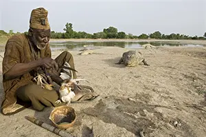 Tools: Sacrifice chicken for Nile Crocodiles Bazoule Burkina Faso