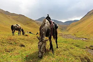 Steppes: Saddled Kirghiz horses grazing in steppe - Kyrgyzstan