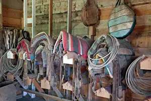 Ropes: Saddles, blankets, ropes and other gear in the tack