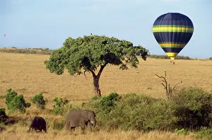 Balloon: Safari, Hot-air Balloon
