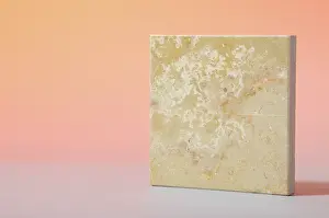 Pakistan: Sahara Beige Marble