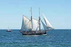 Driving: Sailing boat, brig, Hanse Sail, Rostock, Mecklenburg-Western