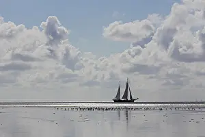 Sailing: Sailing boat at the wadden sea with group of unidentified