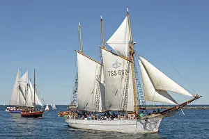 Driving: Sailing boats, Hanse Sail, Rostock, Mecklenburg-Western