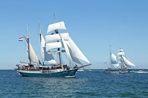 Driving: Sailing boats, Hanse Sail, Rostock, Mecklenburg-Western