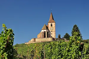 Wine: Saint-Jacques-le-Majeur Church in the vineyards