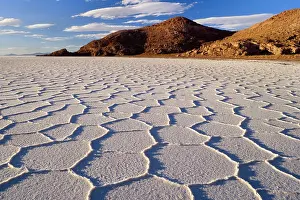 Polygonal: Salar de Uyuni - polygonal salt pattern on dried
