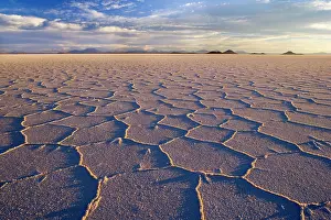 Polygonal: Salar de Uyuni - polygonal salt pattern on dried