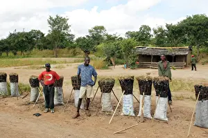 Charcoal: Sale of Charcoal