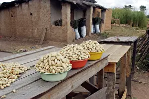 Peanuts: Sale of peanuts at roadside