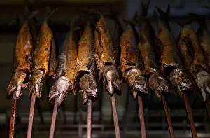 Selling: Sales stand, smoked fish, mackerel