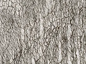 Salt Pan: Saline deposits at the salt works of Walvis Bay