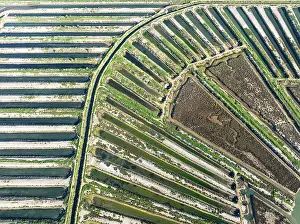Ponds: Saline ponds at the salt works of Isla Cristina