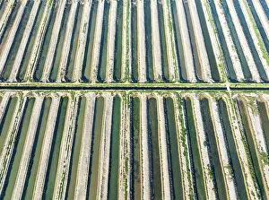 Directly: Saline ponds at the salt works of Isla Cristina