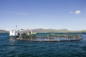 Commerical: Salmon farming in Sound of Mull off Isle of Mull