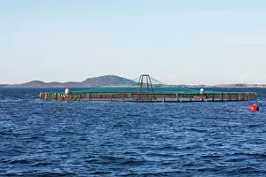 Commerical: Salmon fish farm