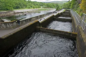 Hydroelectric: Salmon ladder at Pitlochry hydroelectric dam and