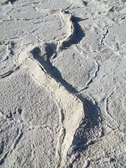 Badwater: Detail of salt crusts at the Badwater Basin salt