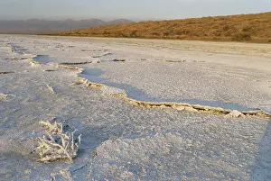 Carrizo: Salt Deposits in California