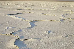 Carrizo: Salt Deposits in California