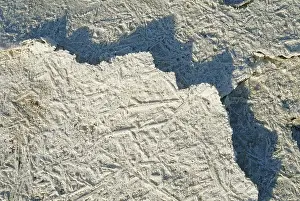 Carrizo: Salt Deposits in California