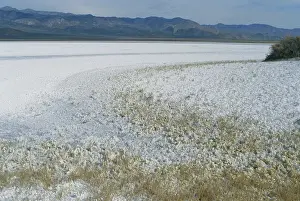 Evaporite: Salt Deposits in California