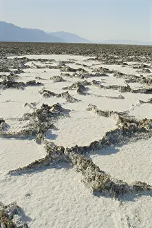 Polygonal: Salt Deposits in Death Valley