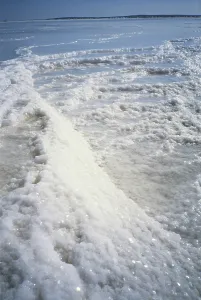 Evaporation: Salt Deposits in Mexico
