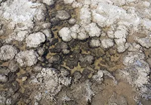Badwater: Salt deposits at a shallow pool at the Badwater