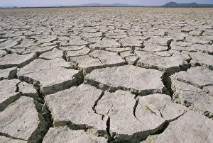 Cracked: Salt Flats in Utah