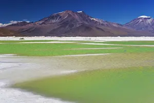 Salar: Salt lake Salar de Surire