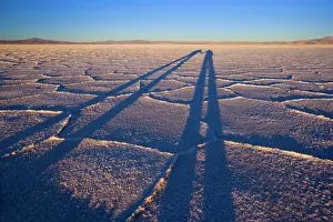 Polygonal: Salt Lake - shadow of a couple holding hands on