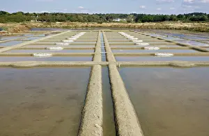 Commerical: Salt marsh and evaporation pans