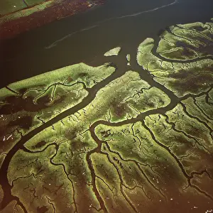 Lancaster: Salt Marsh on River Lune, Lancaster, Lancashire