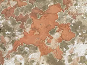 Salt Pan: Salt marsh at the Skeleton Coast