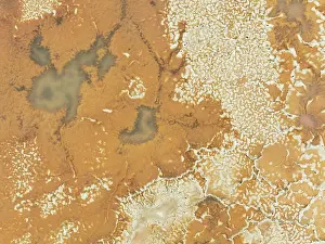 Salt Pan: Salt marsh at the Skeleton Coast