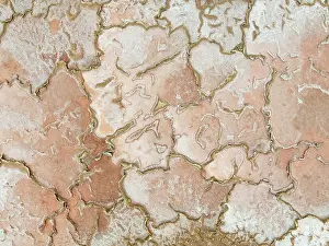 Salt Pan: Salt marsh at the Skeleton Coast