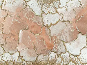 Salt Pan: Salt marsh at the Skeleton Coast