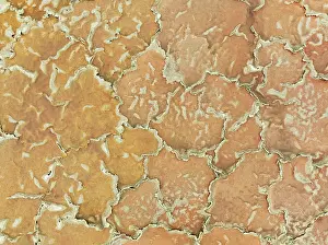 Salt Pan: Salt marsh at the Skeleton Coast