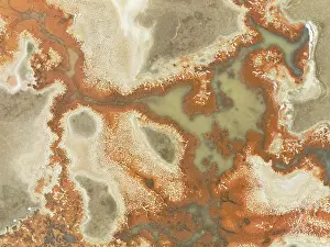 Saline: Salt marsh at the Skeleton Coast