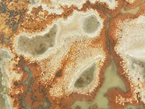 Saline: Salt marsh at the Skeleton Coast