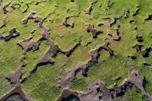 Dike: Salt marshes in front of the dike, coastal protection