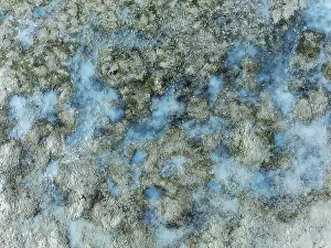 Cdiz: Detail of salt marshes near Sanlcar de Barrameda