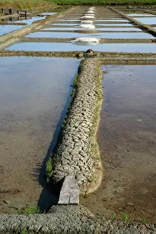 Dike: Salt marshes, Noirmoutier island, Vendee, France